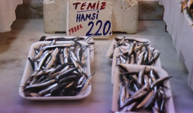 Karadeniz’den Taze Hamsi Geldi, Pazarda Hareketlilik Başladı