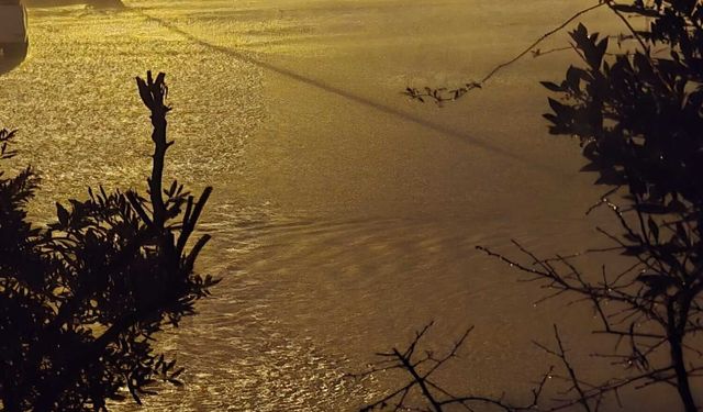 İzmir'de dereler taştı: Yeni Foça'yı su bastı