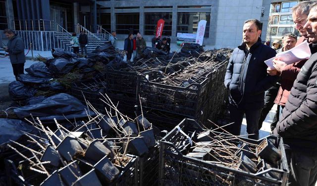 Muğla’da 50 Bin Üzümsü Meyve Fidanı Üreticiyle Buluştu