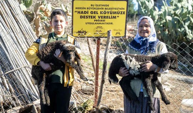 Mersin'de 360 yetiştiriciye 9 bin küçükbaş desteği