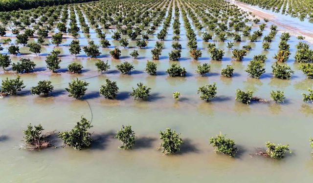 Sel Suları Tarım Arazilerini Vurdu, Ekonomik Kayıp Büyük!
