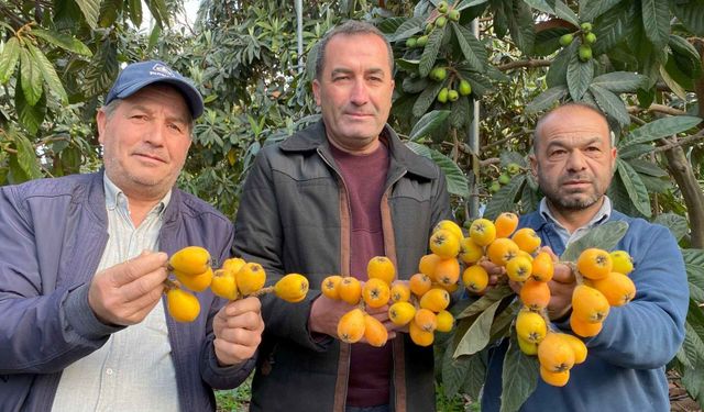 Sarı altın erkenden tezgâhta: Mersin’de yenidünya martı beklemedi 5