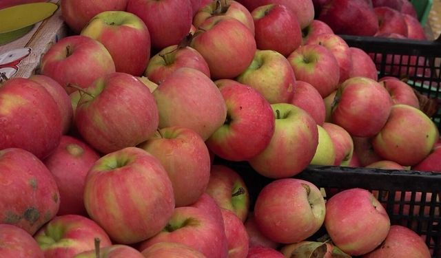 Kesilince Ortaya Yıldız şekli çıkıyorsa gerçek misket elma!