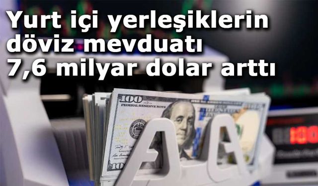 Yurt içi yerleşiklerin döviz mevduatı 7,6 milyar dolar arttı