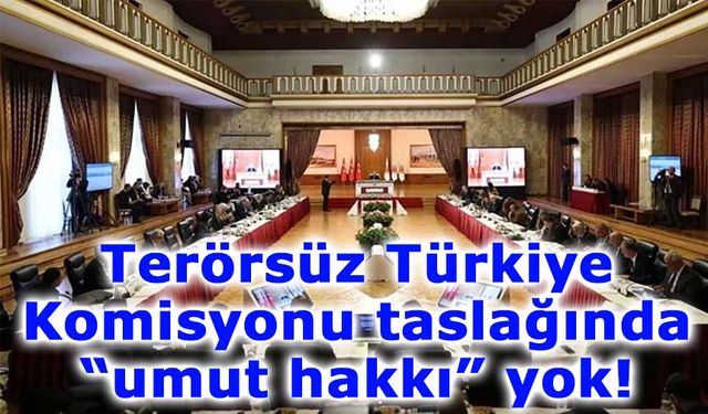 Terörsüz Türkiye Komisyonu taslağında “umut hakkı” yok!