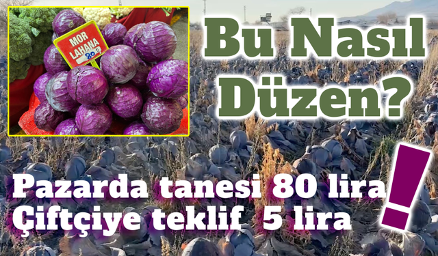 Pazarda tanesi 80 lira; çiftçiden 5 liradan almak istediler