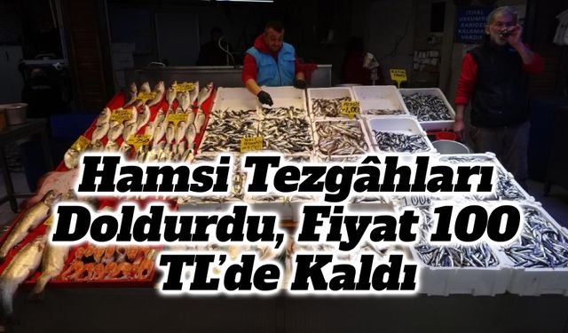 Karadeniz’de Sezon Sonu Bereketi: Hamsi Tezgâhları Doldurdu, Fiyat 100 TL’de Kaldı