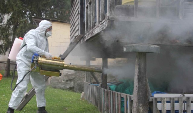 Kahverengi kokarcaya mücadelede 190 bin nokta ilaçlandı