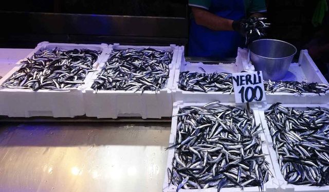 Savaşın sürdüğü Ukrayna, Türk hamsisinin en büyük alıcısı oldu