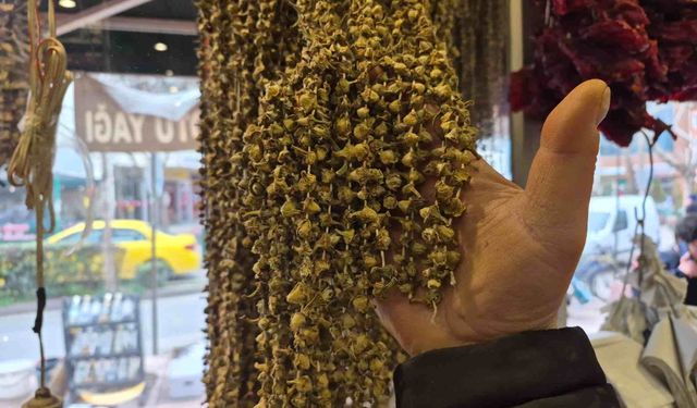 Kurutulmuş bamya 3 bin 500 TL'ye satılıyor