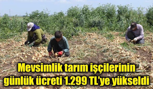 Mevsimlik tarım işçilerinin günlük ücreti 1.299 TL’ye yükseldi