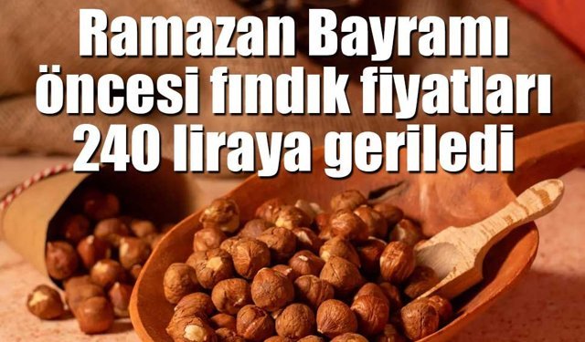 Bayram öncesi fındık fiyatlarında düşüş: 240 liraya geriledi