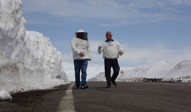 2581 rakımda arıcılardan yol açma çağrısı