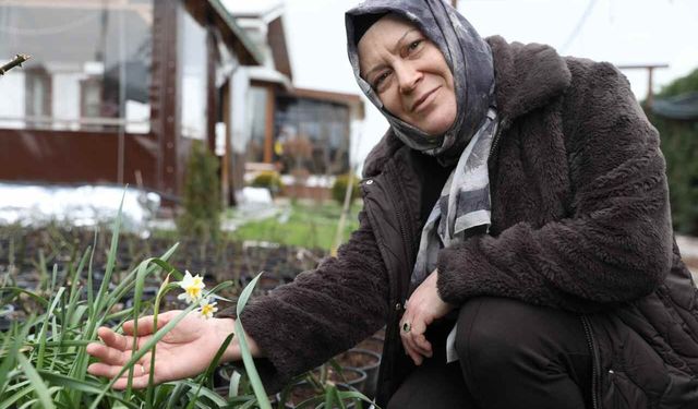 Belediye Desteğiyle Kurduğu Serada Aylık 100 Bin TL Gelire Ulaştı