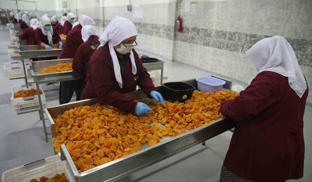 Malatya'da kayısı ihracatı Mart ayında 20 milyon doları aştı