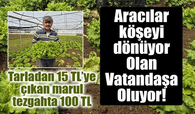 Tarladan 15 TL’ye çıkan marul tezgahta 100 TL: Üretici aracılardan şikayetçi