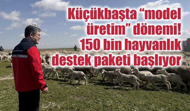 Küçükbaşta “model üretim” dönemi: 150 bin hayvanlık destek paketi başlıyor