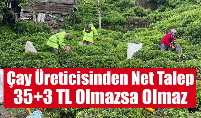 Yaş çay üreticisinden “35+3 TL” çağrısı: Maliyet baskısı artıyor