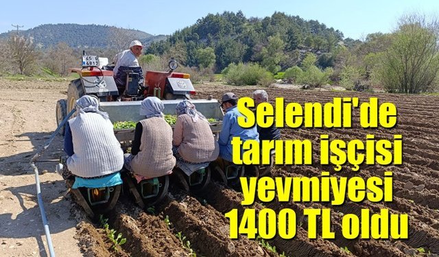 Selendi'de tarım işçisi yevmiyesi 1400 TL oldu