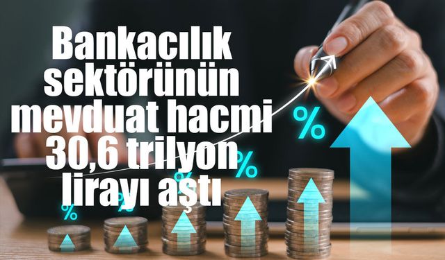 Bankacılık sektörünün mevduat hacmi 30,6 trilyon lirayı aştı