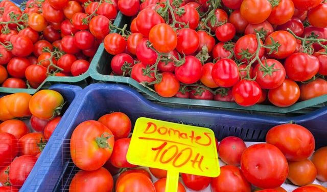 Domates fiyatlarının yüksek olmasının sebebi soğuk hava