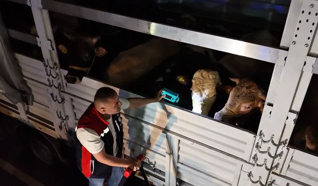 Kurban Bayramı öncesi İstanbul'da sevk noktalarında yoğun mesai
