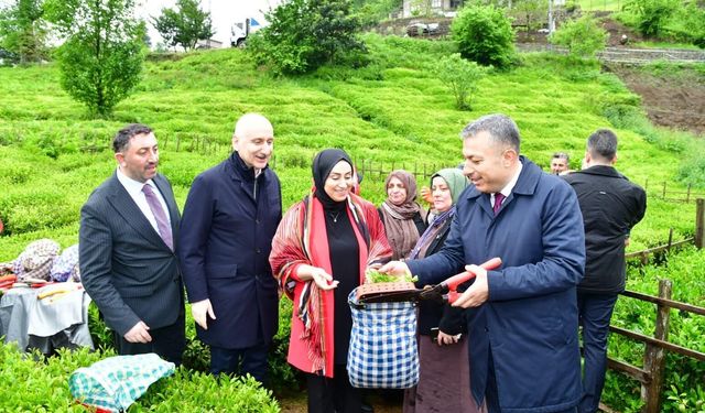 Trabzon'da yaş çay sezonu dualarla açıldı