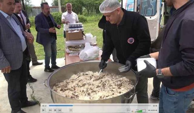 Bafra Ovası'nda çeltik mesaisi başladı: Üretimin kalbi yine Bafra