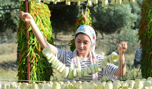 Kurutmalık Sebze Üretimi 100’den Fazla Kişiye Ekmek Kapısı Oldu