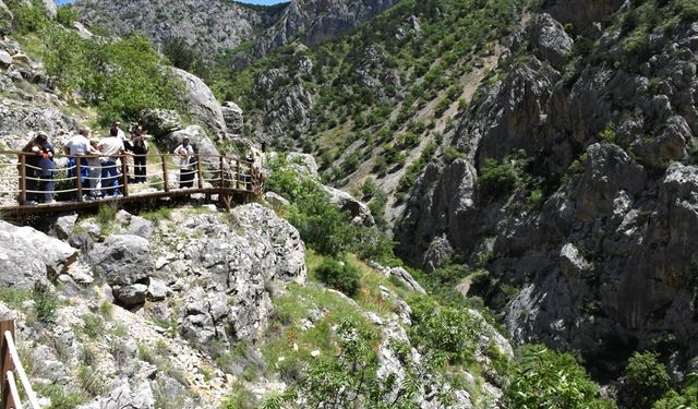 Güncel