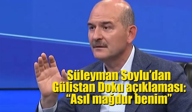 Süleyman Soylu’dan Gülistan Doku açıklaması: “Asıl mağdur benim”