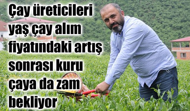 Yaş çaya yüzde 37’lik artış sonrası gözler kuru çay fiyatlarında