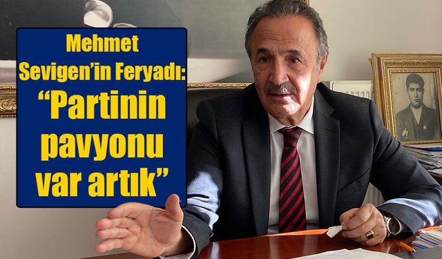 Politika