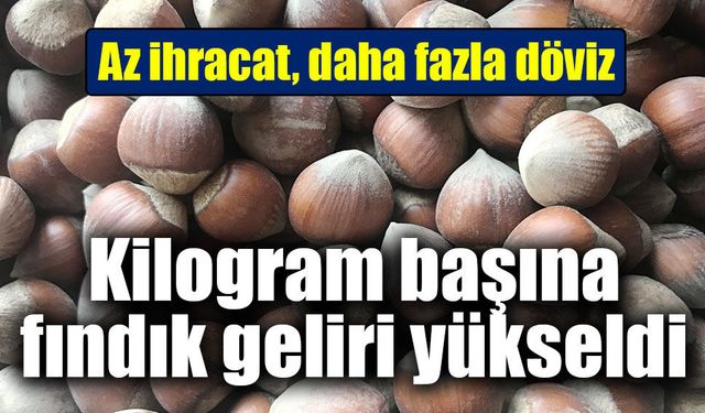 Fındıkta miktar düştü, gelir arttı: Kilogram başına ihracat değeri 13,9 dolara çıktı