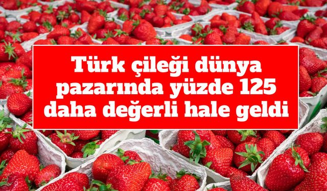 Türk çileği dünya pazarında yüzde 125 daha değerli hale geldi