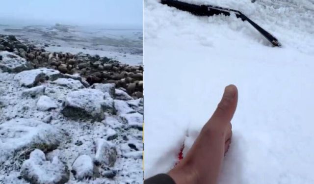 Mayıs sonunda Kars'a kış geri döndü, eksi 5 derecede kar sürprizi