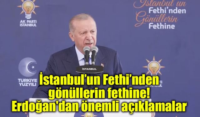 Politika