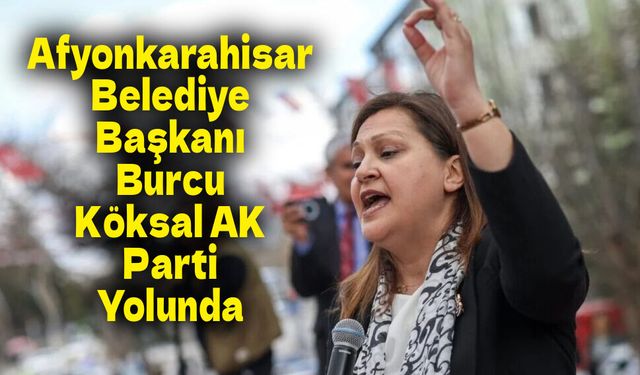 Politika