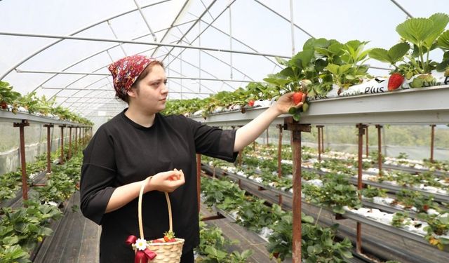 Bankacılığı Bıraktı, 3 Seranın Patronu Oldu!