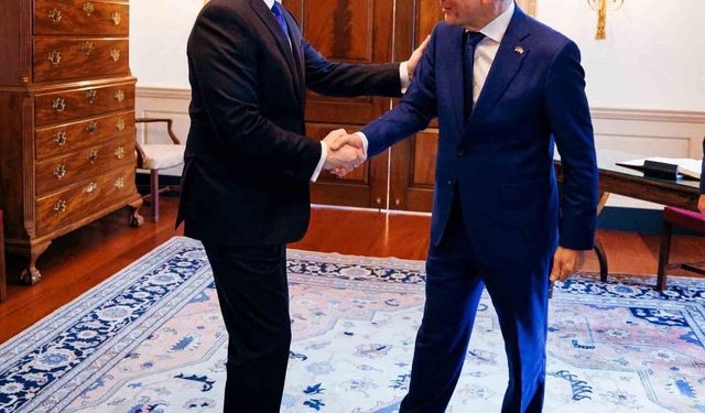 Politika