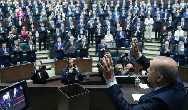 Politika