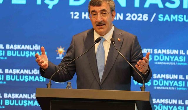 Politika