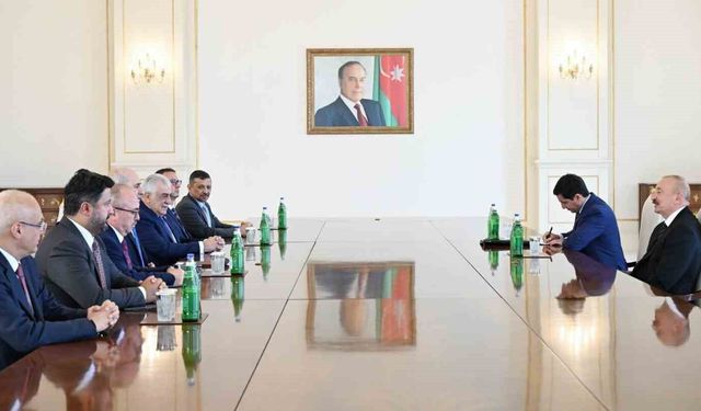 Politika