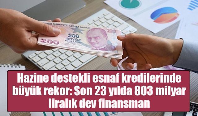 Esnaf ve sanatkarlara sağlanan hazine destekli kredilerin tutarı son 23 yılda 803 milyara ulaştı