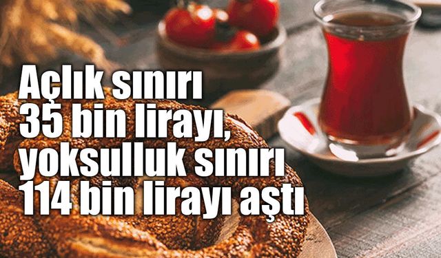 Açlık sınırı 35 bin lirayı, yoksulluk sınırı 114 bin lirayı aştı
