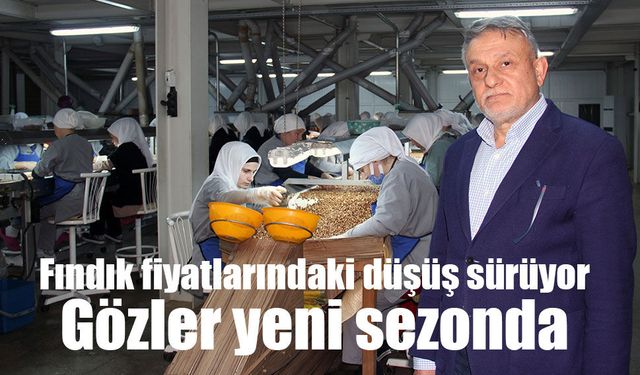 Fındık fiyatlarındaki düşüş sürüyor: Gözler yeni sezonda