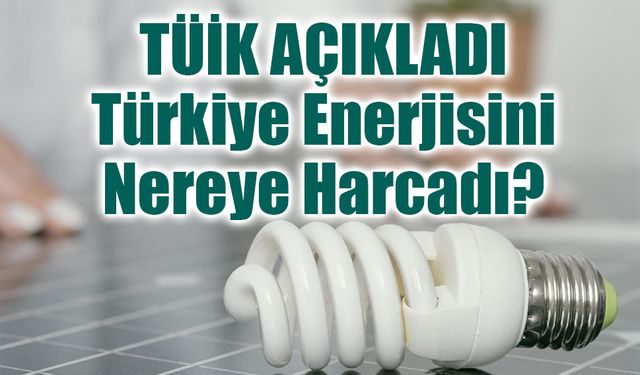 TÜİK Açıkladı: Türkiye 2024’te Enerjisini Nereye Harcadı?