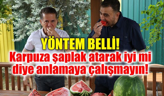 İyi karpuz nasıl seçilir?
