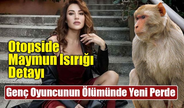 Ece İrtem'in Ölümünde Şok İddia: Tayland'daki Maymun Isırığı Araştırılıyor