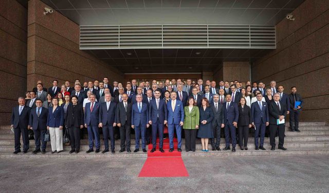 Politika